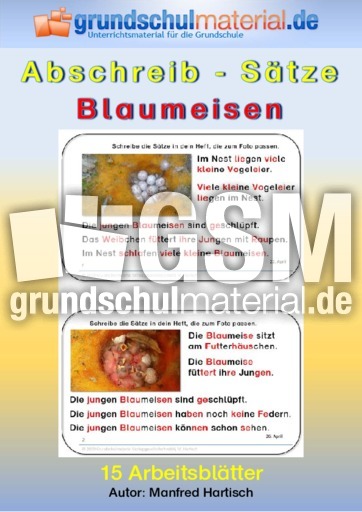 Abschreibsätze_Norddruck_Blaumeisen.pdf